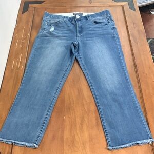Democracy AbTechnology Cropped Straight Leg Jeans Frayed Ankle Size 12